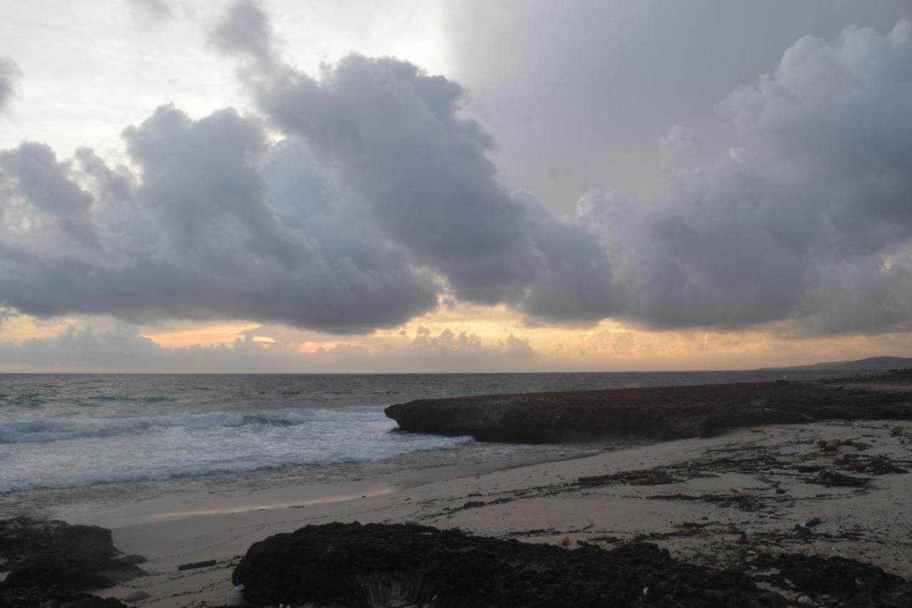 פאלם ביץ' Arena Condos Aruba - Few Steps From Eagle Beach! מראה חיצוני תמונה